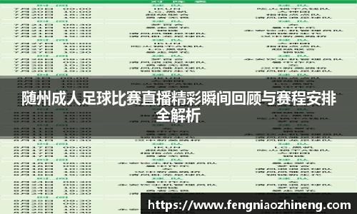 随州成人足球比赛直播精彩瞬间回顾与赛程安排全解析
